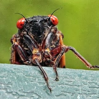Christopher Houck Photo 29