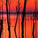 Dawn Howell Photo 16