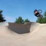 Phil Adams Photo 9