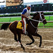 Larry Jones Photo 19