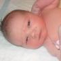 Kenneth Puckett Photo 16