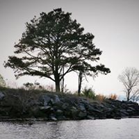 Gerald Meeks Photo 2