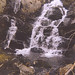 Brook Short Photo 8