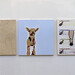 Katherine Mcguire Photo 12
