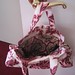 Amy Covington Photo 21