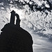 Andres Castillo Photo 42
