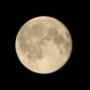 Sue Lester Photo 21