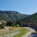 Lac Tran Photo 11
