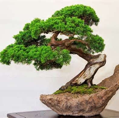 Bang Trinh Photo 9
