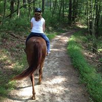 Amy Westmoreland Photo 13