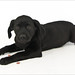 Sherry Shipley Photo 23