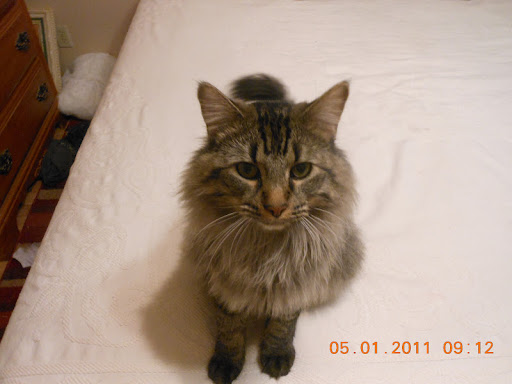 Denise Snodgrass Photo 3