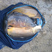 Richard Stoker Photo 28