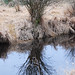 Lora Winters Photo 8