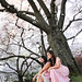 Alexander Cherry Photo 7