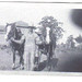 Ann Helton Photo 13