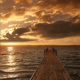 Dawn Page Photo 38