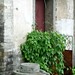 Keng Chan Photo 17