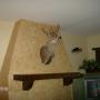 Dewayne Hamilton Photo 20