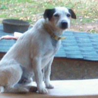 Marcia Mize Photo 1