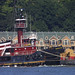 Colleen Mcallister Photo 11