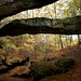 David Hock Photo 13