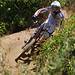Kevin Ellsworth Photo 22