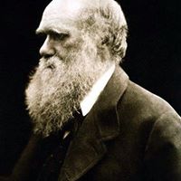 James Thaggard Photo 10