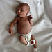Elizabeth Calhoun Photo 24