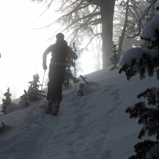 Matt Dodson Photo 41