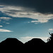 David Trull Photo 35