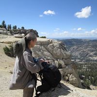 Dana Harvey Photo 27