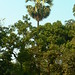 Zong Tang Photo 7
