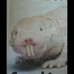 Wayne Heady Photo 4
