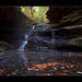 Barry Mize Photo 9