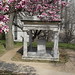 James Polk Photo 19