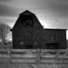 Virginia Black Photo 21