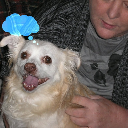 Janis Allen Photo 27