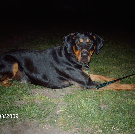 Donald Richards Photo 5