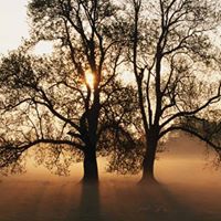 Bryan Falk Photo 26