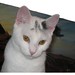 Chelsey Foster Photo 16