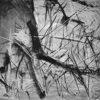 Lloyd Evans Photo 38