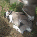 Loretta West Photo 10