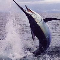 Karl Hunter Photo 36