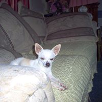 Juanita Bell Photo 16