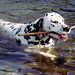 Billy Vann Photo 18