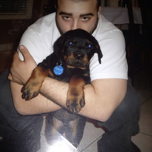 Steve Mancini Photo 12