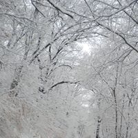 Debbie Lytle Photo 16