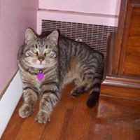 Dexter Russell Photo 13