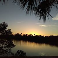 Cindy Herndon Photo 18